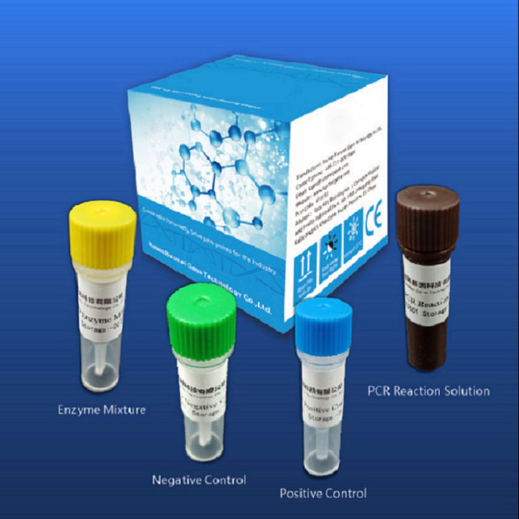 Reagent Diagnostic Test Kits Mo Covid-2019 Kei runga i te Tuturu Pcr Platform